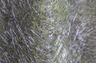 East Bilney fibreglass roof work